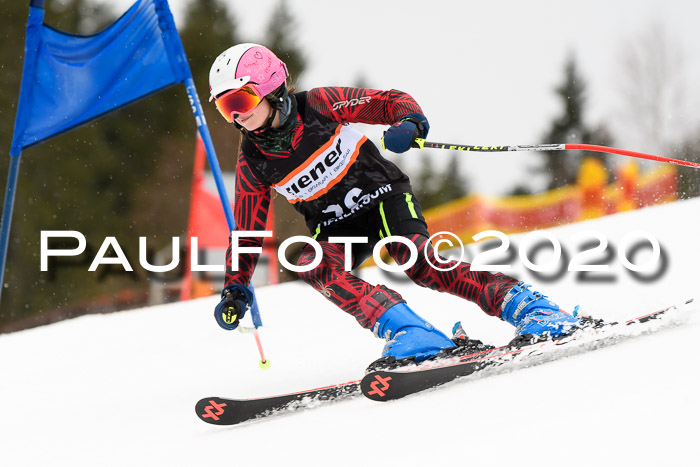 7.  Zienercup + Werdenfelser Meisterschaft 23.02.2020