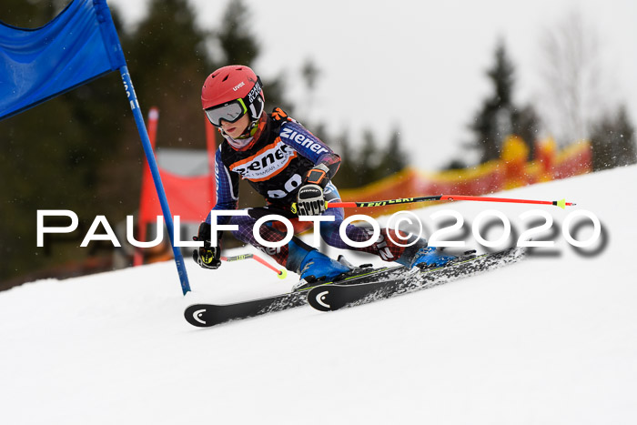 7.  Zienercup + Werdenfelser Meisterschaft 23.02.2020