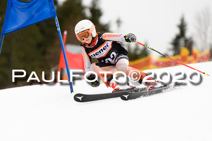 7.  Zienercup + Werdenfelser Meisterschaft 23.02.2020