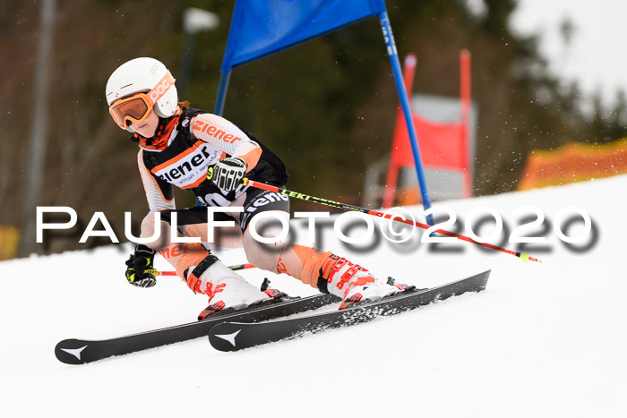 7.  Zienercup + Werdenfelser Meisterschaft 23.02.2020