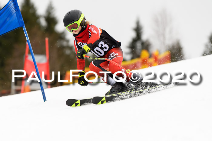 7.  Zienercup + Werdenfelser Meisterschaft 23.02.2020