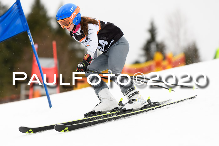 7.  Zienercup + Werdenfelser Meisterschaft 23.02.2020