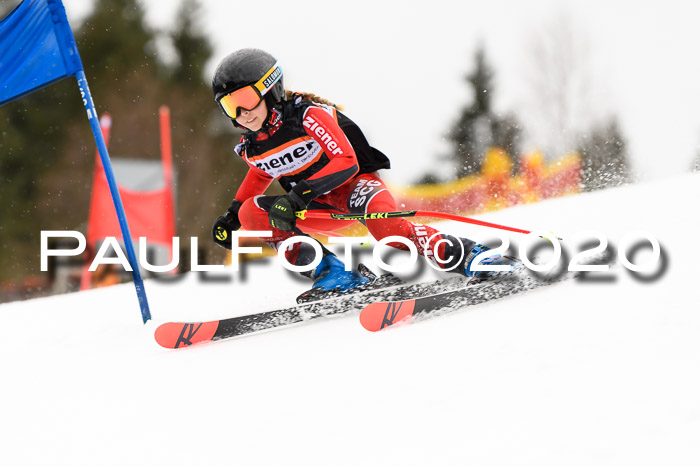 7.  Zienercup + Werdenfelser Meisterschaft 23.02.2020