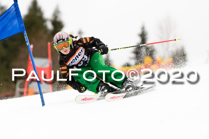 7.  Zienercup + Werdenfelser Meisterschaft 23.02.2020