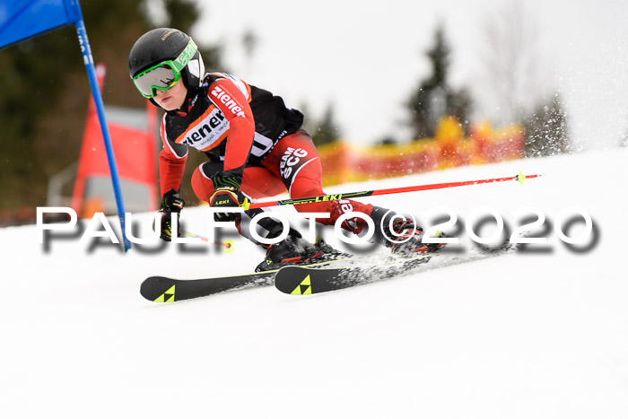 7.  Zienercup + Werdenfelser Meisterschaft 23.02.2020