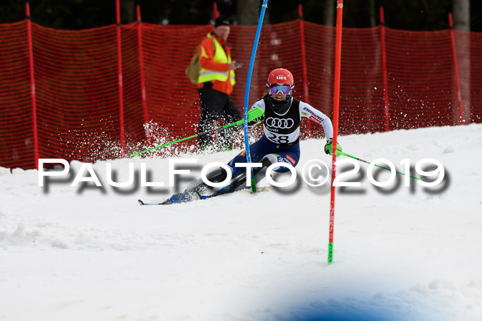 Europacup Damen Slalom, 29.02.2020 Bad Wiessee