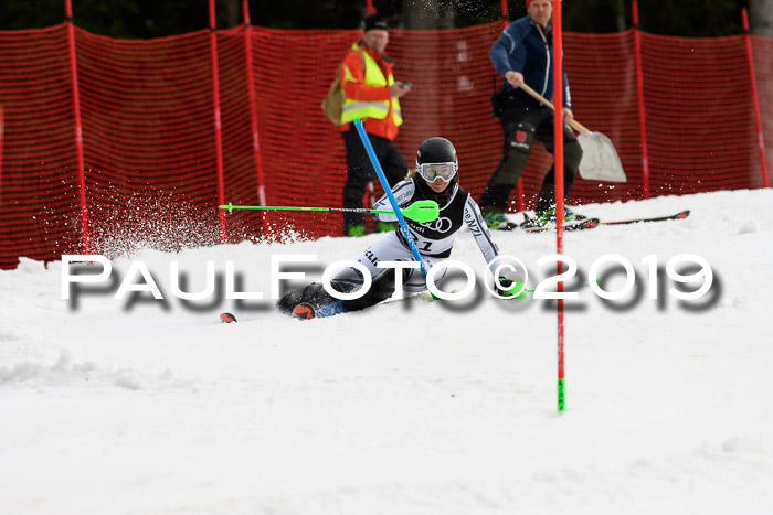 Europacup Damen Slalom, 29.02.2020 Bad Wiessee