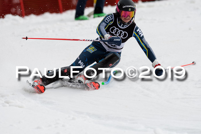 Europacup Damen Slalom, 29.02.2020 Bad Wiessee