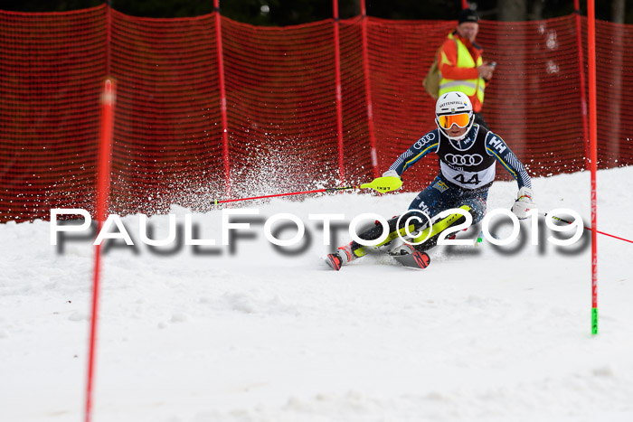 Europacup Damen Slalom, 29.02.2020 Bad Wiessee