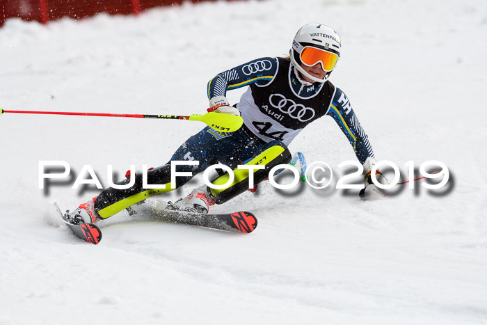 Europacup Damen Slalom, 29.02.2020 Bad Wiessee