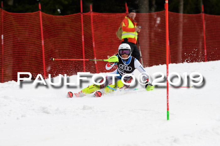 Europacup Damen Slalom, 29.02.2020 Bad Wiessee