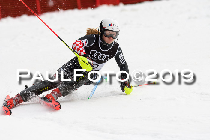 Europacup Damen Slalom, 29.02.2020 Bad Wiessee