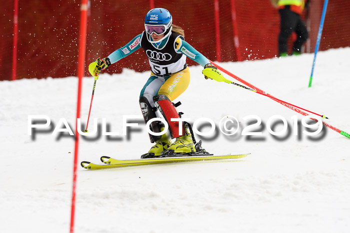 Europacup Damen Slalom, 29.02.2020 Bad Wiessee