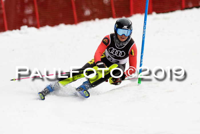 Europacup Damen Slalom, 29.02.2020 Bad Wiessee