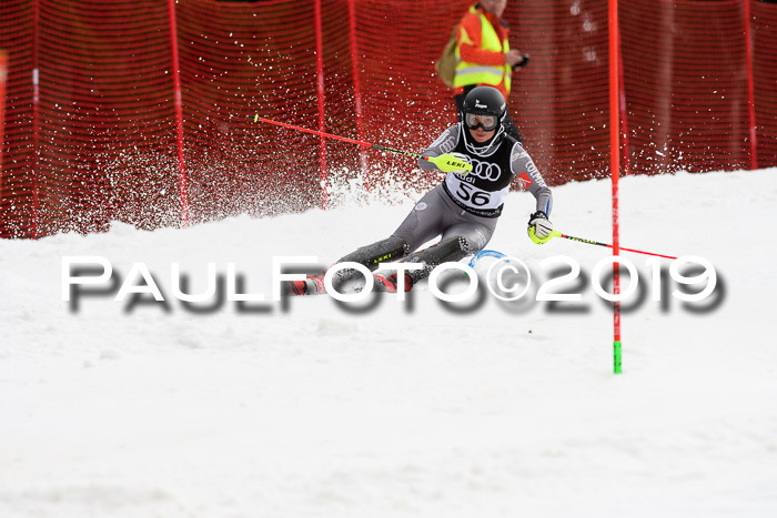 Europacup Damen Slalom, 29.02.2020 Bad Wiessee