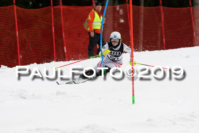 Europacup Damen Slalom, 29.02.2020 Bad Wiessee