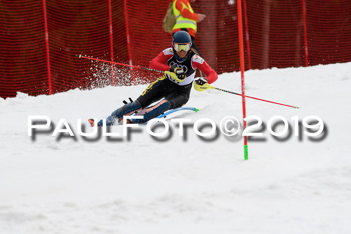 Europacup Damen Slalom, 29.02.2020 Bad Wiessee