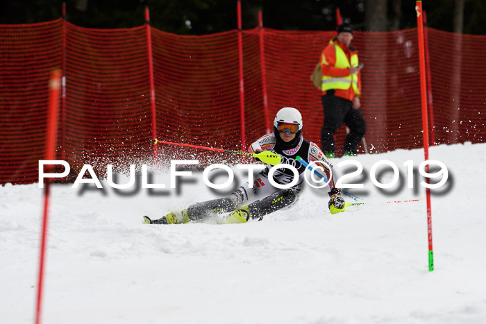 Europacup Damen Slalom, 29.02.2020 Bad Wiessee