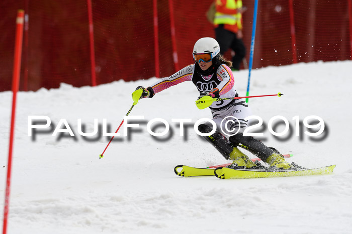 Europacup Damen Slalom, 29.02.2020 Bad Wiessee