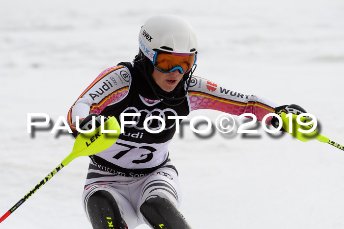 Europacup Damen Slalom, 29.02.2020 Bad Wiessee