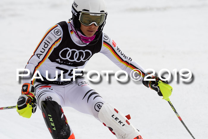 Europacup Damen Slalom, 29.02.2020 Bad Wiessee