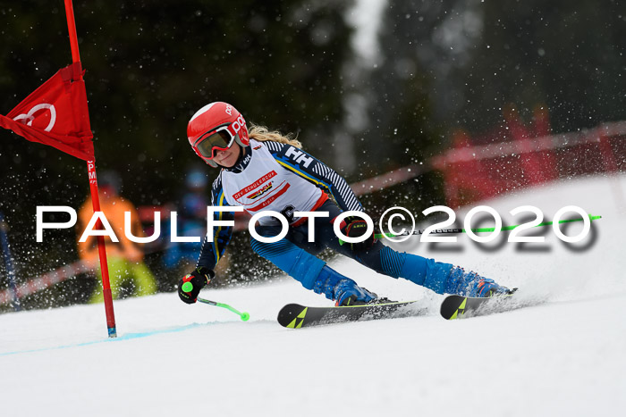 DSV - Deutscher Schülercup U12 Finale RaceCross