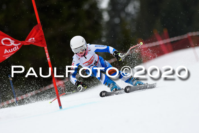 DSV - Deutscher Schülercup U12 Finale RaceCross