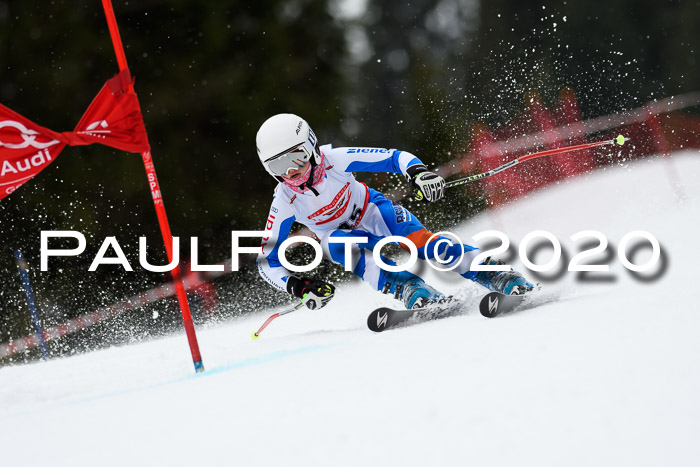 DSV - Deutscher Schülercup U12 Finale RaceCross