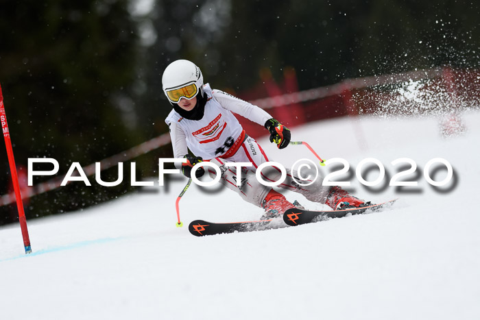 DSV - Deutscher Schülercup U12 Finale RaceCross