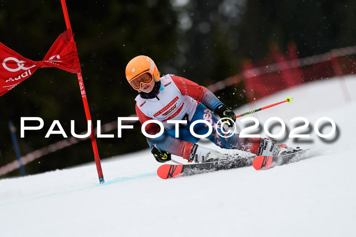 DSV - Deutscher Schülercup U12 Finale RaceCross