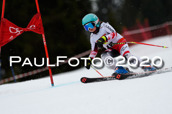 DSV - Deutscher Schülercup U12 Finale RaceCross