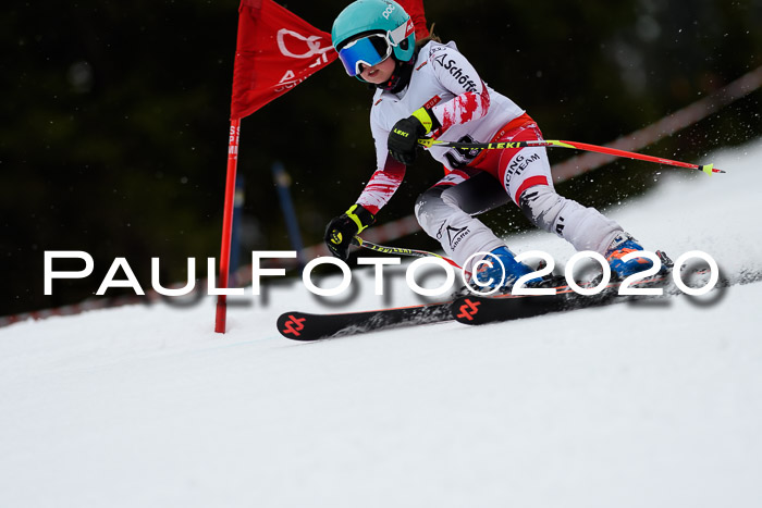 DSV - Deutscher Schülercup U12 Finale RaceCross