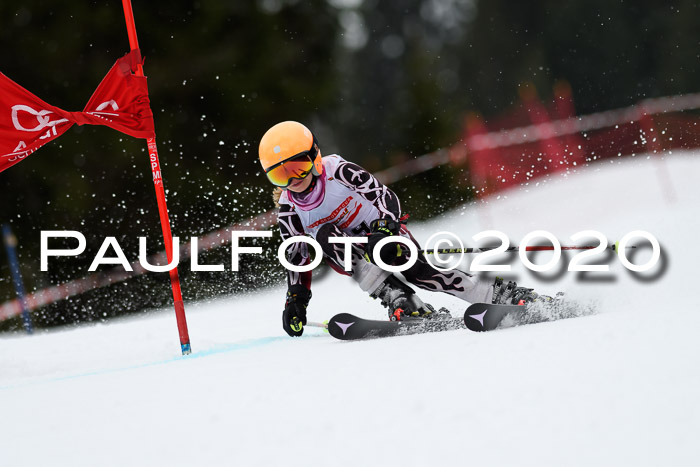 DSV - Deutscher Schülercup U12 Finale RaceCross