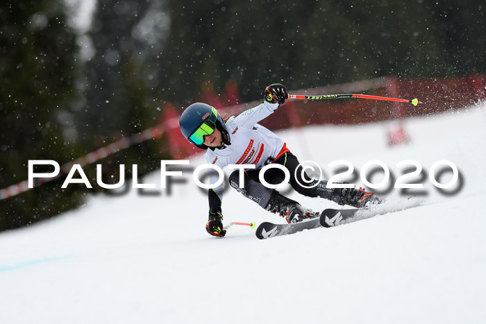 DSV - Deutscher Schülercup U12 Finale RaceCross