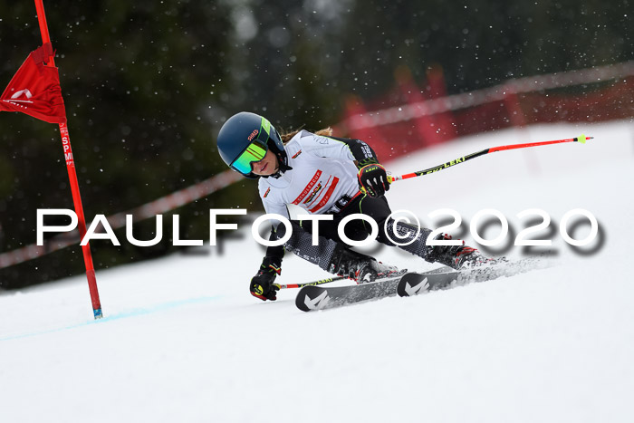 DSV - Deutscher Schülercup U12 Finale RaceCross