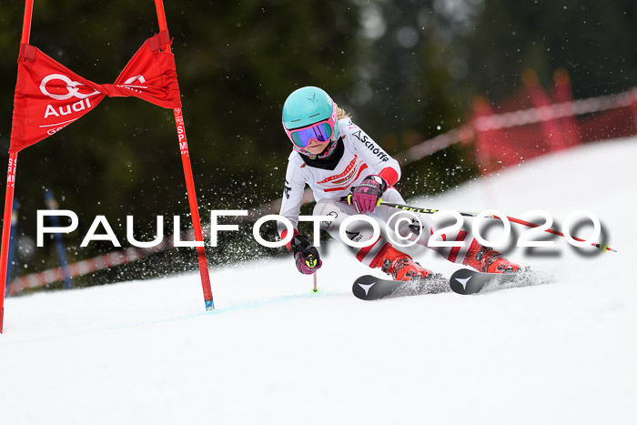 DSV - Deutscher Schülercup U12 Finale RaceCross