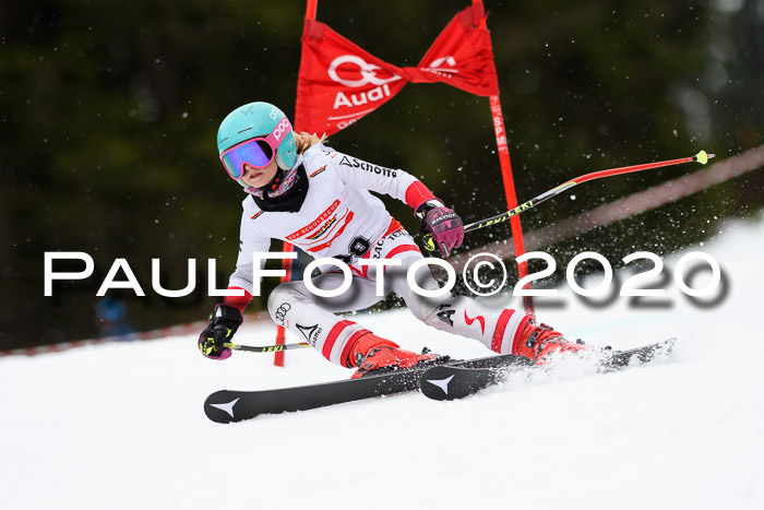 DSV - Deutscher Schülercup U12 Finale RaceCross