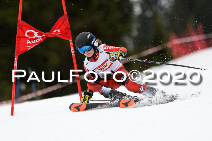 DSV - Deutscher Schülercup U12 Finale RaceCross