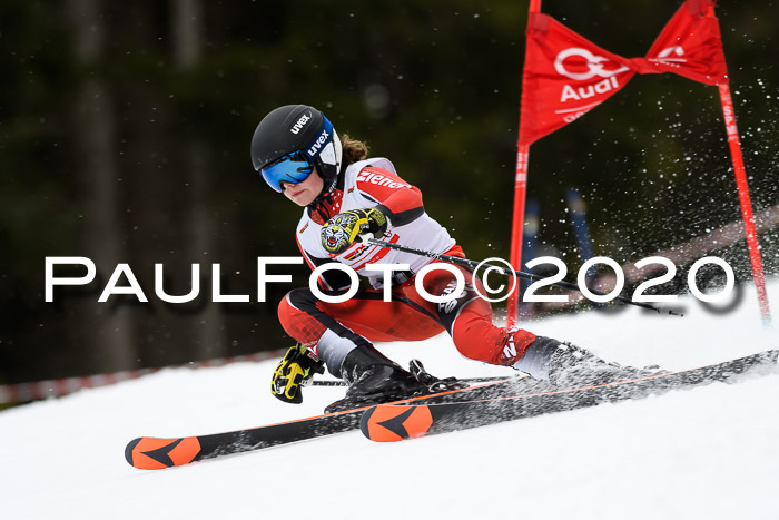 DSV - Deutscher Schülercup U12 Finale RaceCross