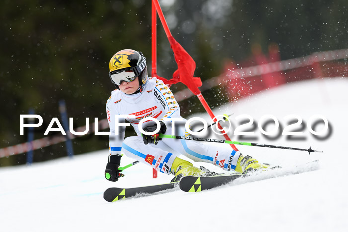 DSV - Deutscher Schülercup U12 Finale RaceCross