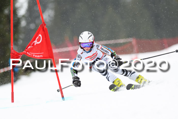 DSV - Deutscher Schülercup U12 Finale RaceCross