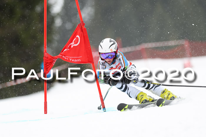 DSV - Deutscher Schülercup U12 Finale RaceCross