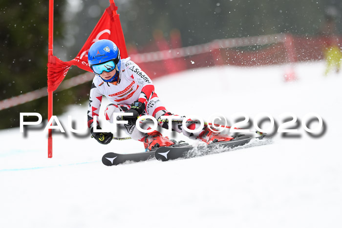 DSV - Deutscher Schülercup U12 Finale RaceCross