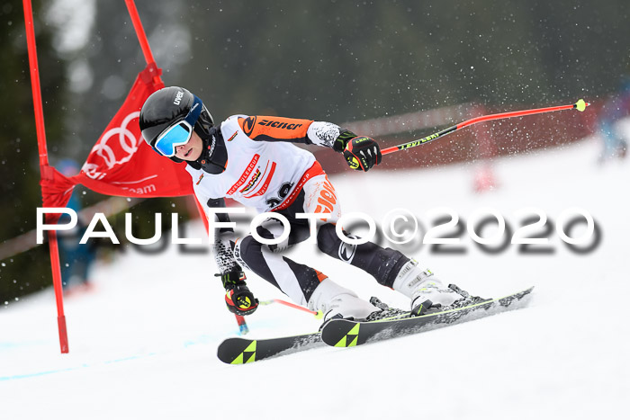 DSV - Deutscher Schülercup U12 Finale RaceCross