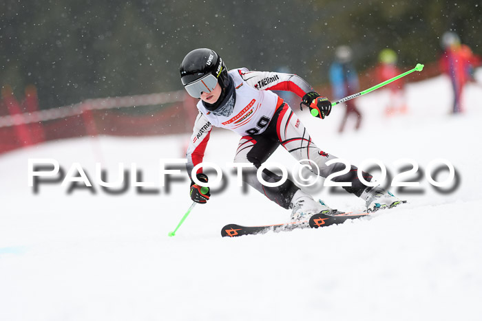 DSV - Deutscher Schülercup U12 Finale RaceCross