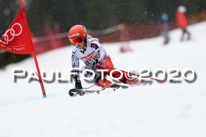 DSV - Deutscher Schülercup U12 Finale RaceCross