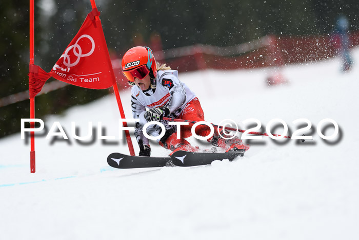 DSV - Deutscher Schülercup U12 Finale RaceCross