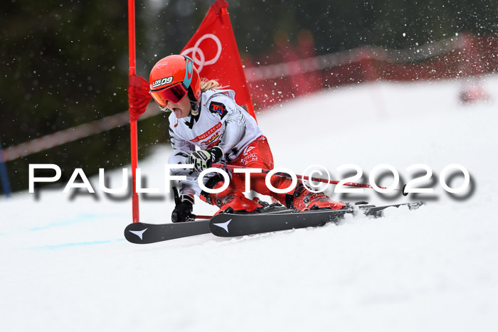 DSV - Deutscher Schülercup U12 Finale RaceCross