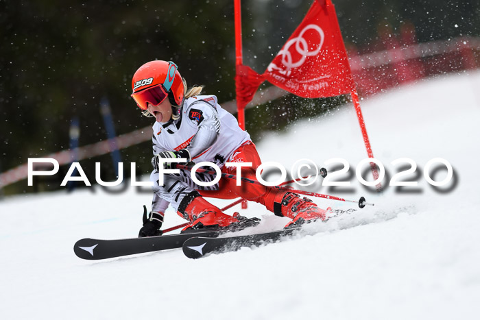 DSV - Deutscher Schülercup U12 Finale RaceCross