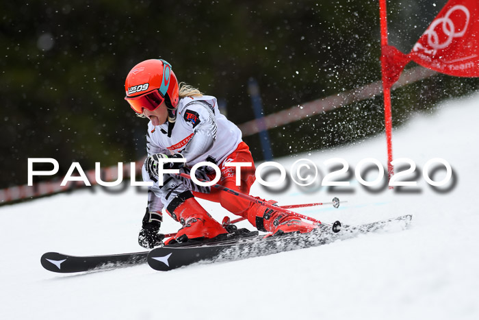 DSV - Deutscher Schülercup U12 Finale RaceCross